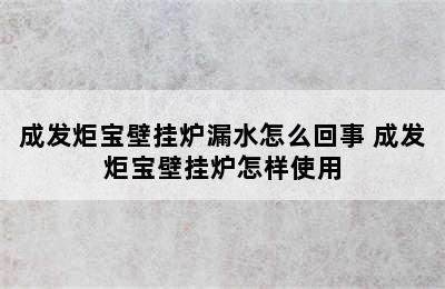 成发炬宝壁挂炉漏水怎么回事 成发炬宝壁挂炉怎样使用